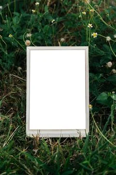 A white picture frame on a tree Stock Photos