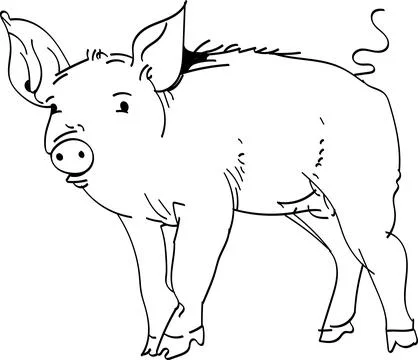 White pig on a white background Stock Illustration