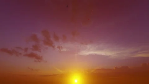 White pigeons flying vertically against sunset, purple shades Stock Footage 153511122