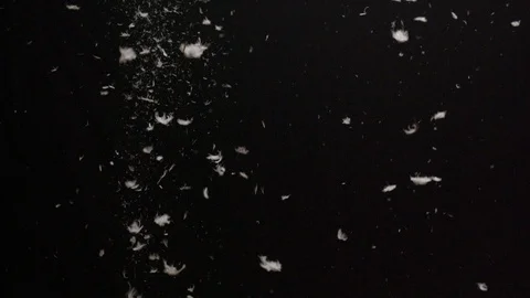 White pillow feathers float on a black background - Slow motion at 200Fps 스톡 동영상 103550438