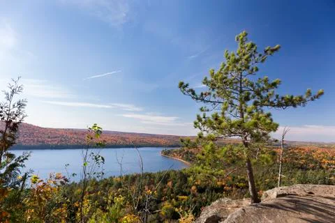 White Pine Tree Overlooking an Autumn Lake - Ontario, Canada Stock Photos