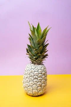 White pineapple on table in studio on violet and yellow background Stock Photos