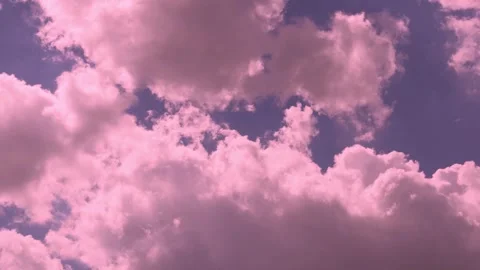 White pink powder plump clouds soaring transforming on the sunny evening lilac b Stockbeeldmateriaal 332216669