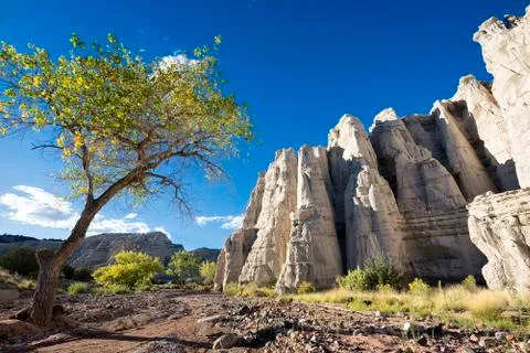 "The White Place" Stock Photos