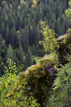 White, plaster, moss-covered sheer cliffs of Usvinskie Stolby (Perm Territory Stock Photos