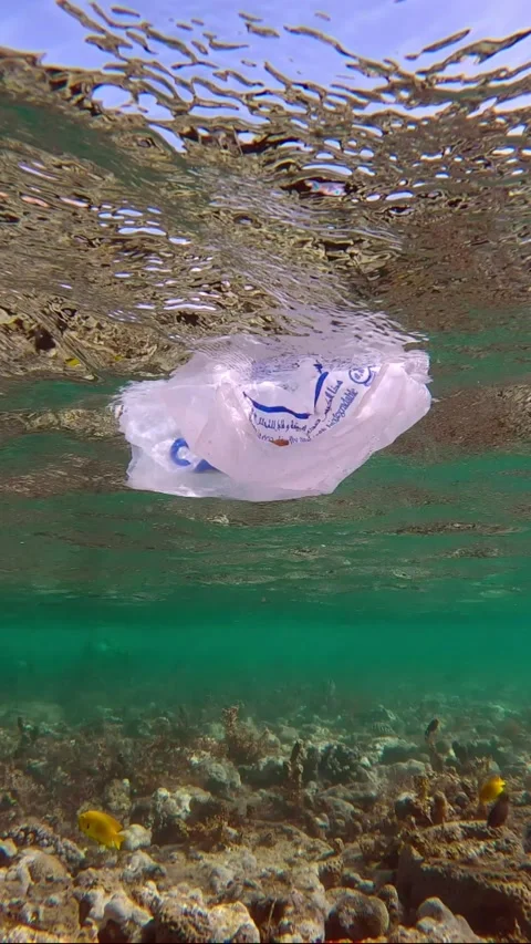 White plastic bag with Arabic text floating under water surface over reef Stock Footage 228719146