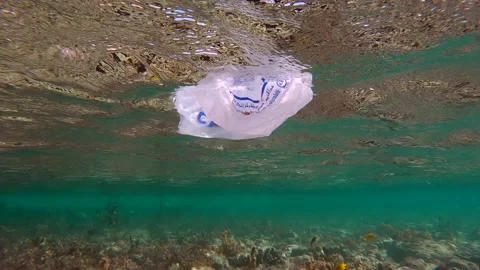 White plastic bag with Arabic text floating under water surface over reef  Stock Footage 228721373