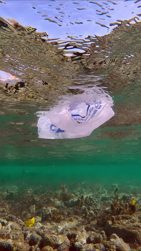 White plastic bag with Arabic text floating under water surface over reef Stock Footage 228723536