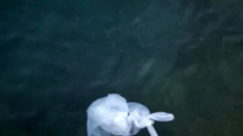 White plastic bag floating on the sea, sea waves, plastic and pollution Stock Footage 118012282