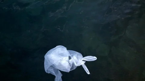 White plastic bag floating on the sea. Plastic and pollution. Protect our pla Stock Footage 118199632