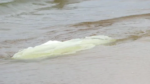 White plastic bag floating in sea water Stock-Footage 136834887