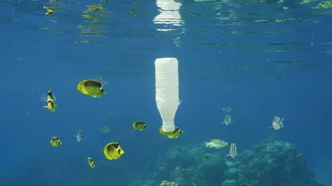White plastic bottle drifts under surface of blue ocean, Slow motion Stock Footage 243440797