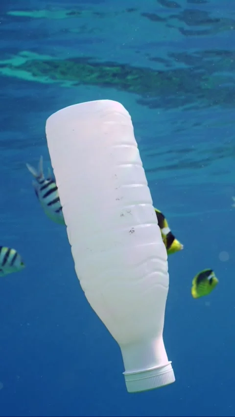 White plastic bottle drifts under surface of blue ocean, Slow motion Stock Footage 246357023
