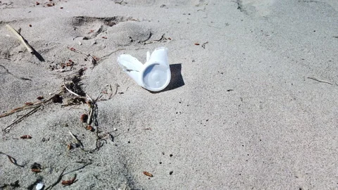 White plastic cup on the sand Stock Footage 186851672