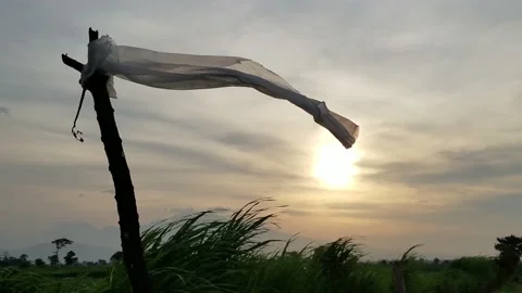 White plastic flying in the wind Stock Footage 218228059