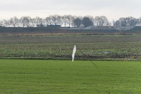 A white plastic scarecrows in the middle of a grassy field, pasture, with a b Stock Photos
