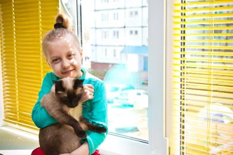 White plastic window, yellow horizontal blinds and a girl with a cat indoors Foto stock