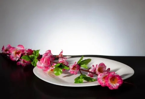 White plate on a black background with spring blossom . Stock Photos