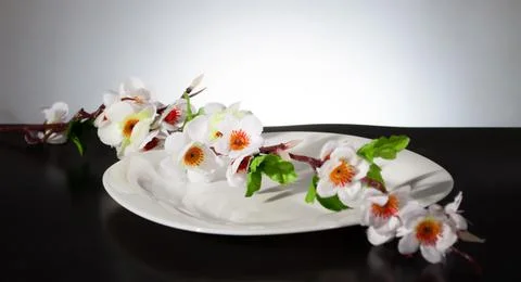 White plate on a black background with spring blossom . Stock Photos