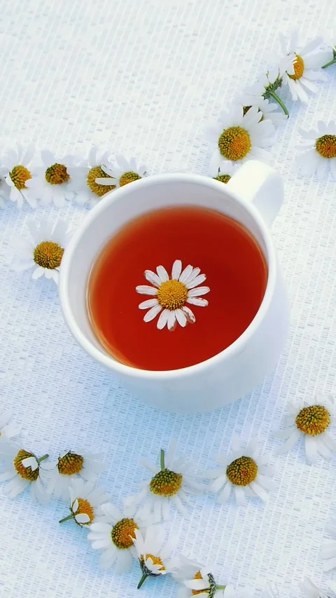 A white plate with pastries, biscuits and cookies, decorated with white daisies. Stock Footage 307926383