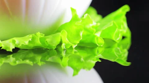 White plate stands on a salad leaf and spinning Video stock 39720517