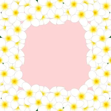 White Plumeria Border2 Stock Illustration