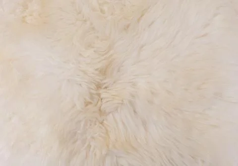 White Plush Blanket Wool Texture Stock Photos