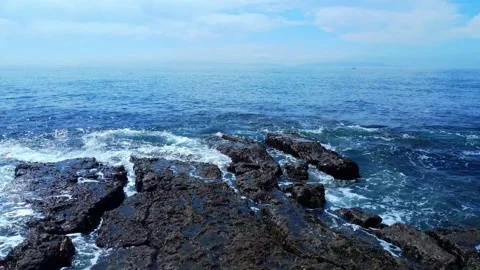 White Point Park Stock Footage 153052131