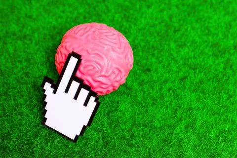 White Pointer Cursor Touches Human Brain Placed on a Green Lawn Stockfoto's
