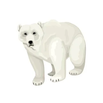 White polar bear. Vector isolated character on white background. Stock Illustration