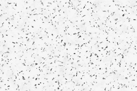 White polished stone surface with black granite chips and speckled texture Stock Illustration