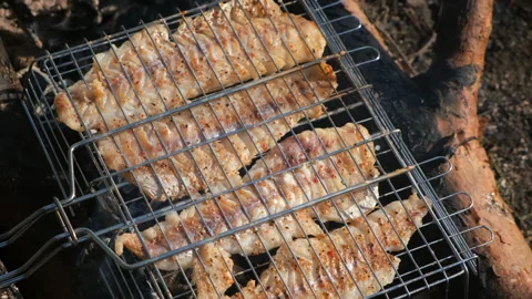 White pollock fish grilling on metal grid on bonfire in nature camping. Video stock 277870982