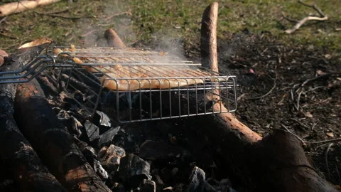 White pollock fish grilling on metal grid on bonfire in nature camping. Stock Footage 311856752