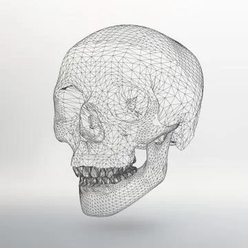 White polygonal skull on white studio background Illustrazione stock