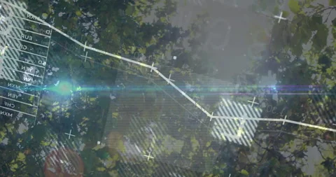 White polyline graph overlaying tree canopy featuring plus icons transparent Stock Footage 308658946