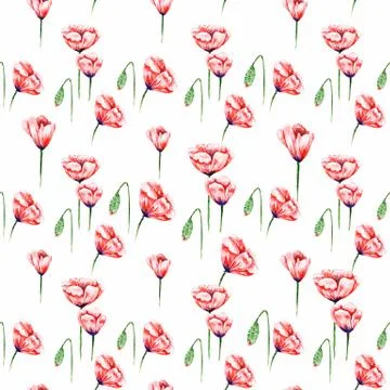 White Poppy Pattern Stock Illustration