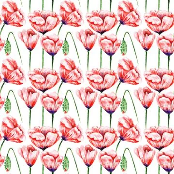 White Poppy Pattern Stock Illustration