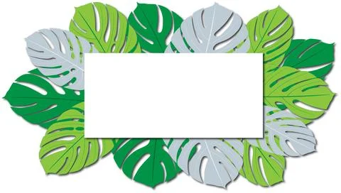 A white postcard for your text lies on the colorful leaves of the monstera Stock-Illustration