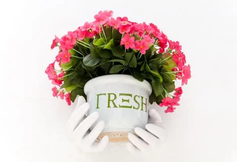 White pot hangs on the white wall Stock Photos