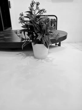 A white pot placed on a minimalist table with a cafe interior Фото