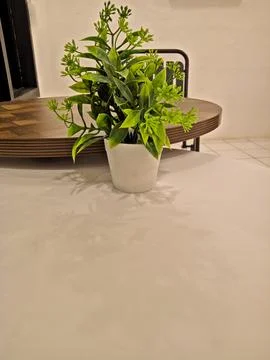 A white pot placed on a minimalist table with a cafe interior Stock Photos