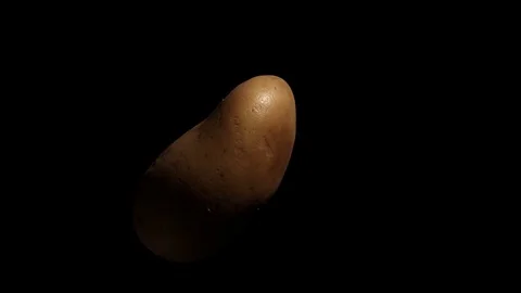 White potato rotating on black background 04 Stock Footage 84220350