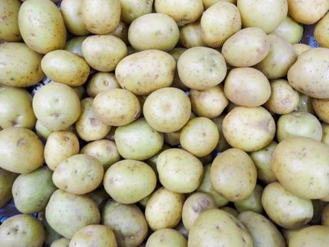 White potatoes background Stock Photos