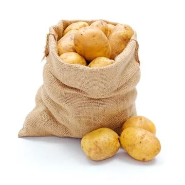 White potatoes in burlap sack Stock Photos