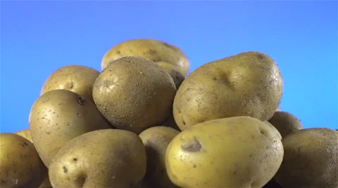 White Potatoes isolated rotating on blue background. Stock Footage 63343047