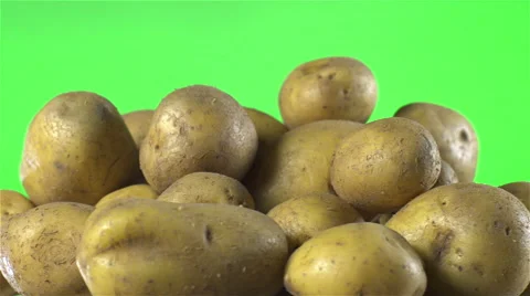 White Potatoes isolated rotating on green background. Stock Footage 63341986