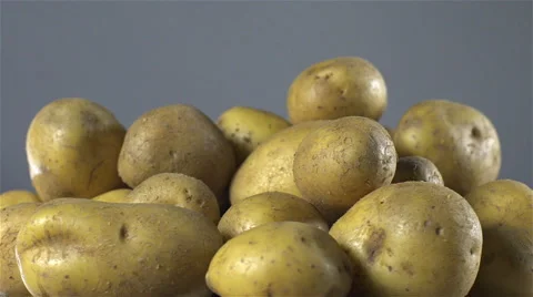White Potatoes isolated rotating on grey background. Video stock 63343223