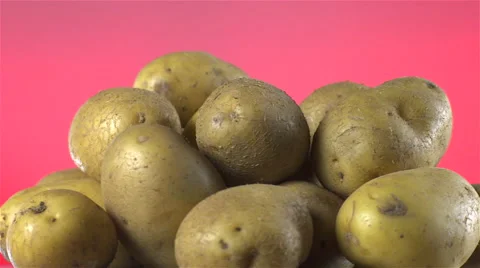 White Potatoes isolated rotating on red/pink background. Stock Footage 63340204