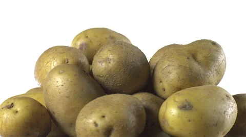 White Potatoes isolated rotating on white background. Stock Footage 63341837