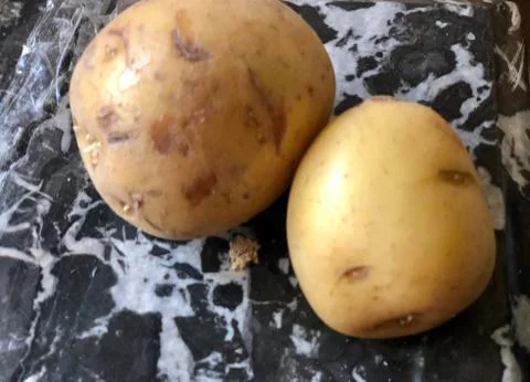 White potatoes on a marble table Stock Photos
